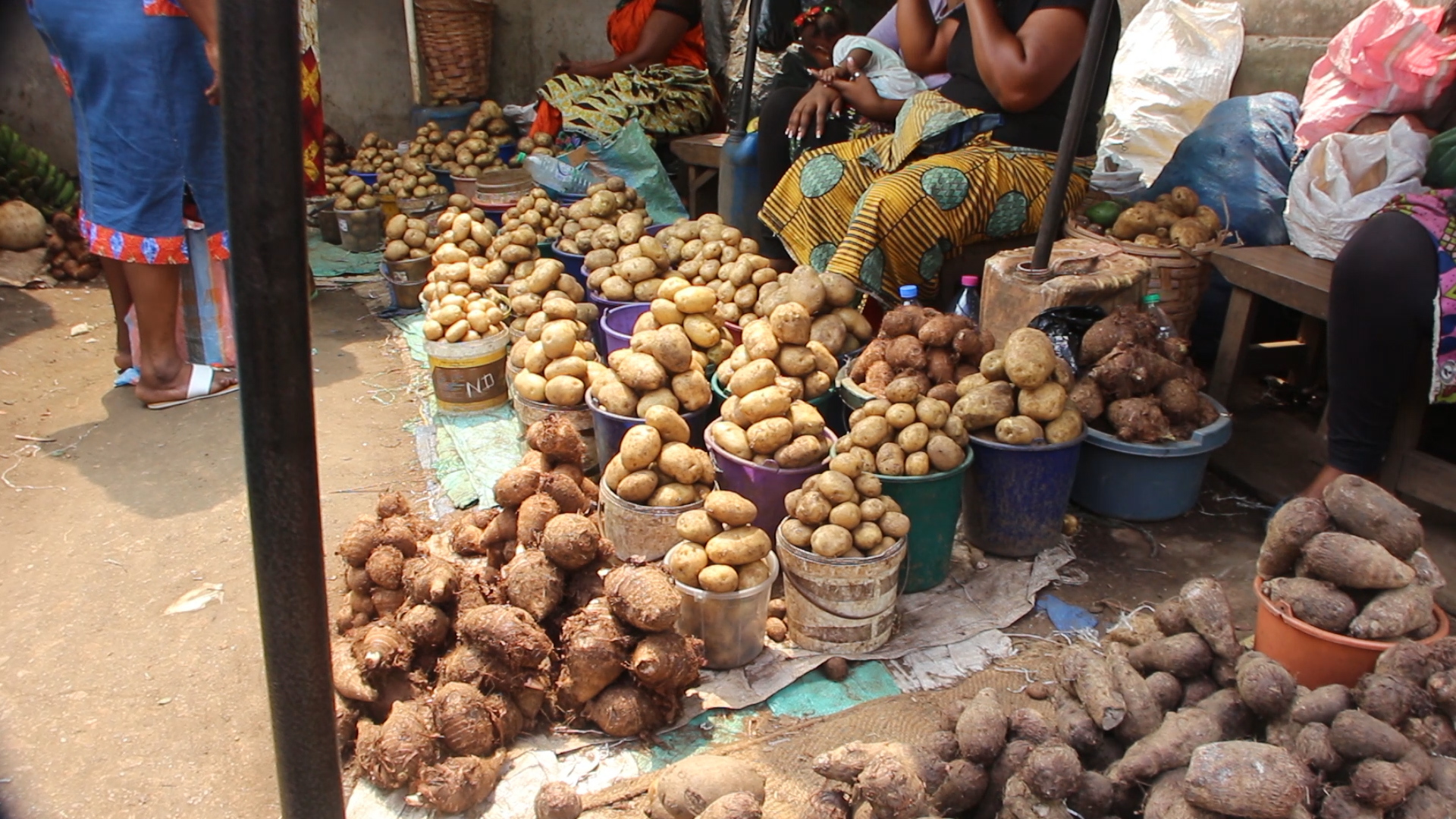 Pomme de Terre