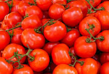 Tomates