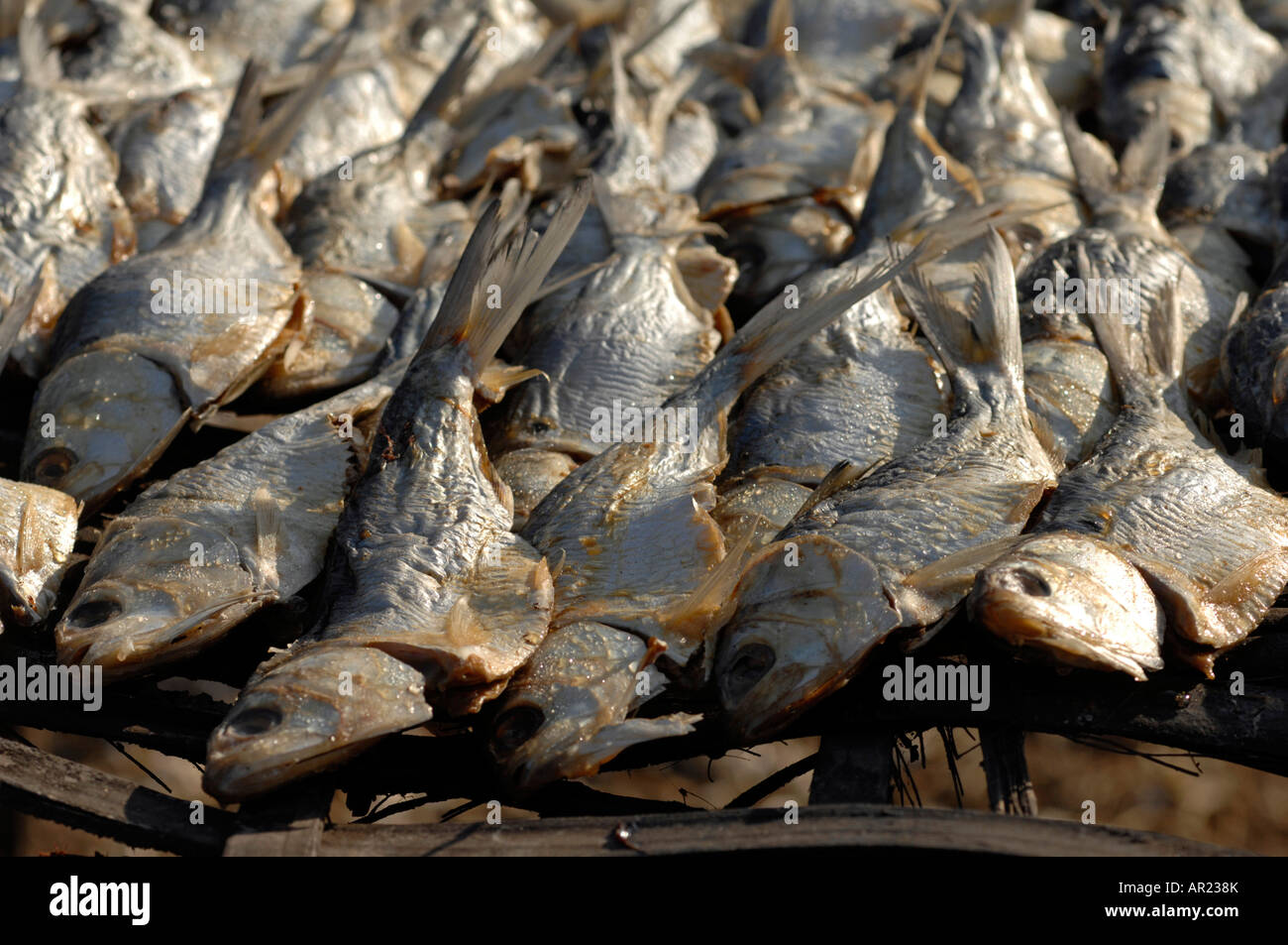 Poisson Fumé