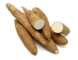 Manioc
