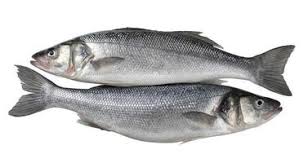 Sardines