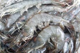 Crevettes