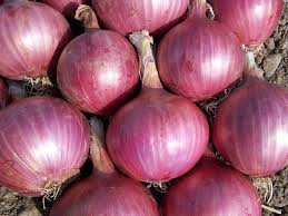 Oignons