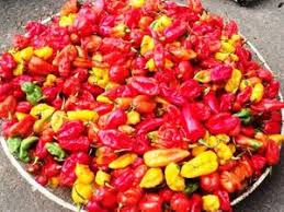 Piments