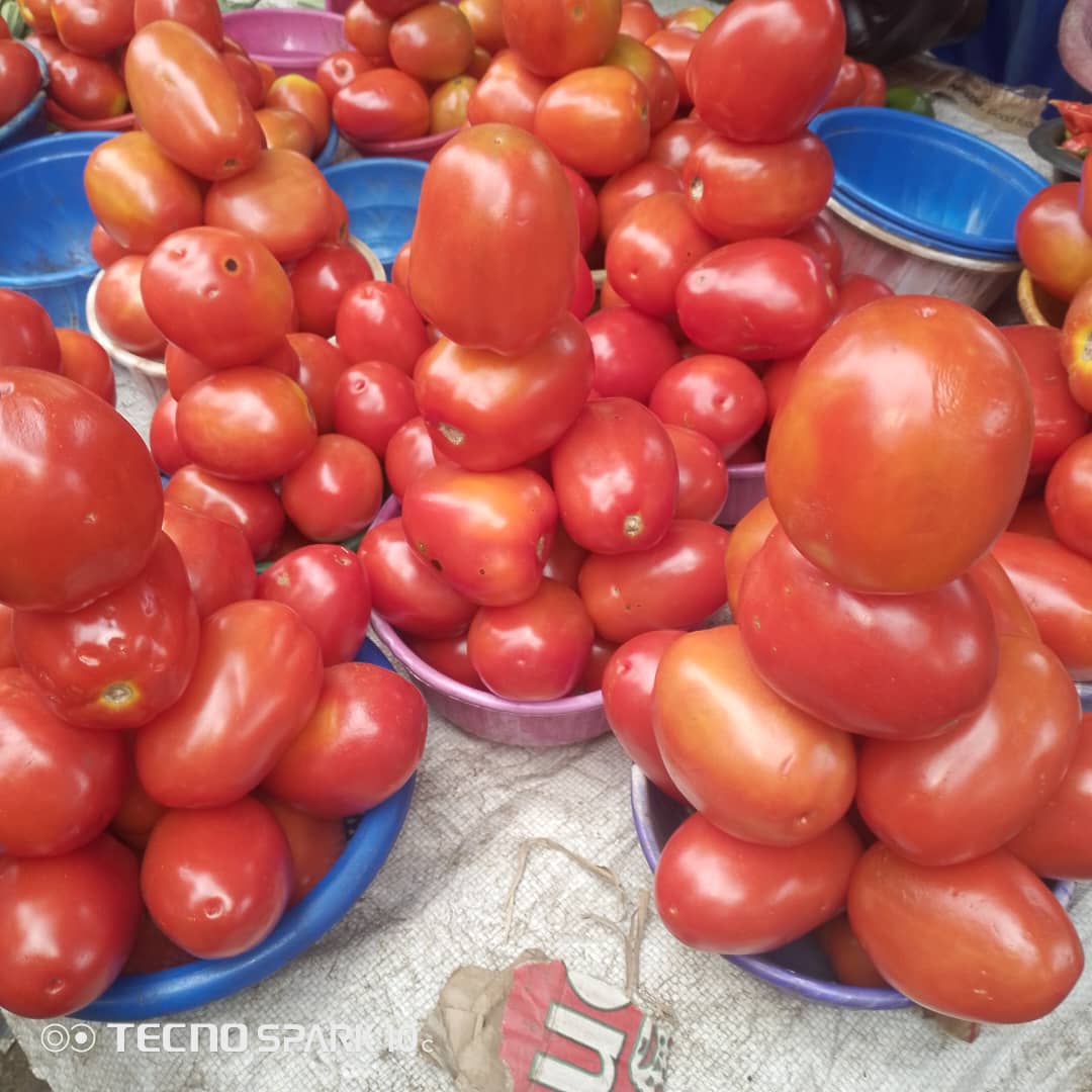 Tomates